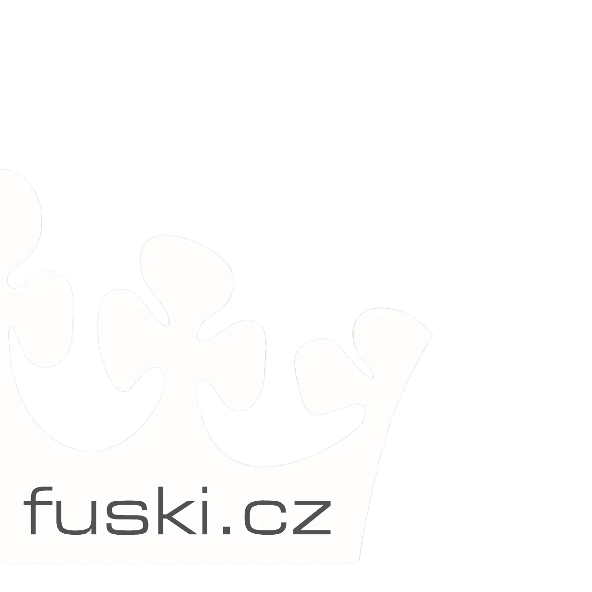 Logo Be Lady s logem Fuski.cz